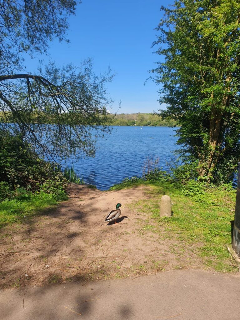 View of Kingsmill Resevoir